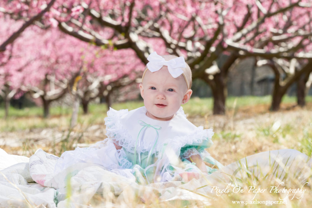 Triplett Family Six Month Baby outdoor peach orchard portrait photo