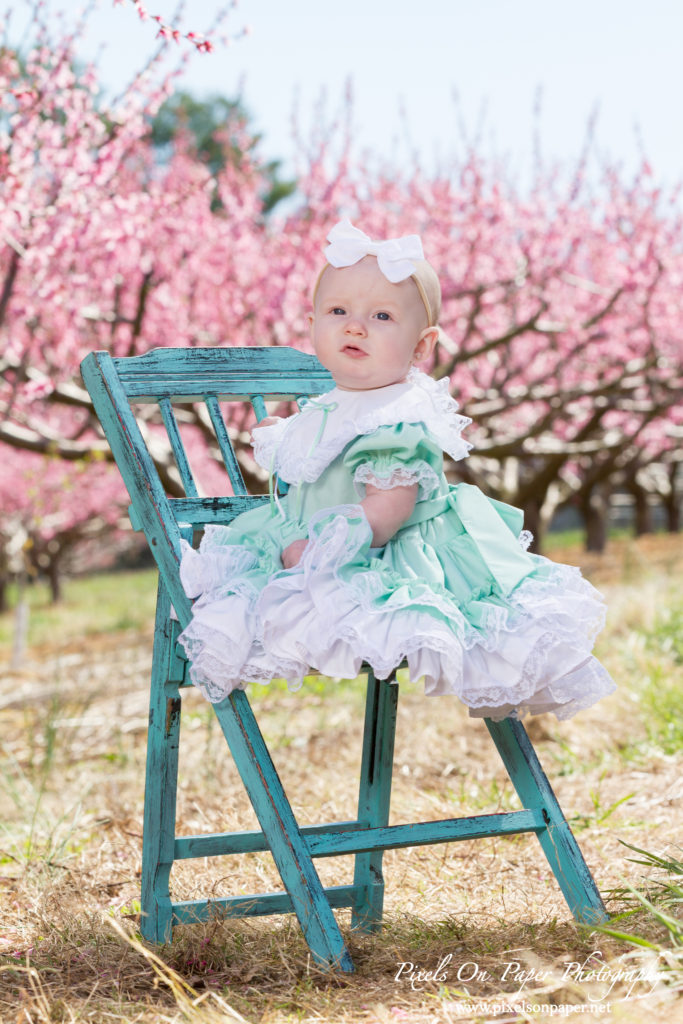 Triplett Family Six Month Baby outdoor peach orchard portrait photo