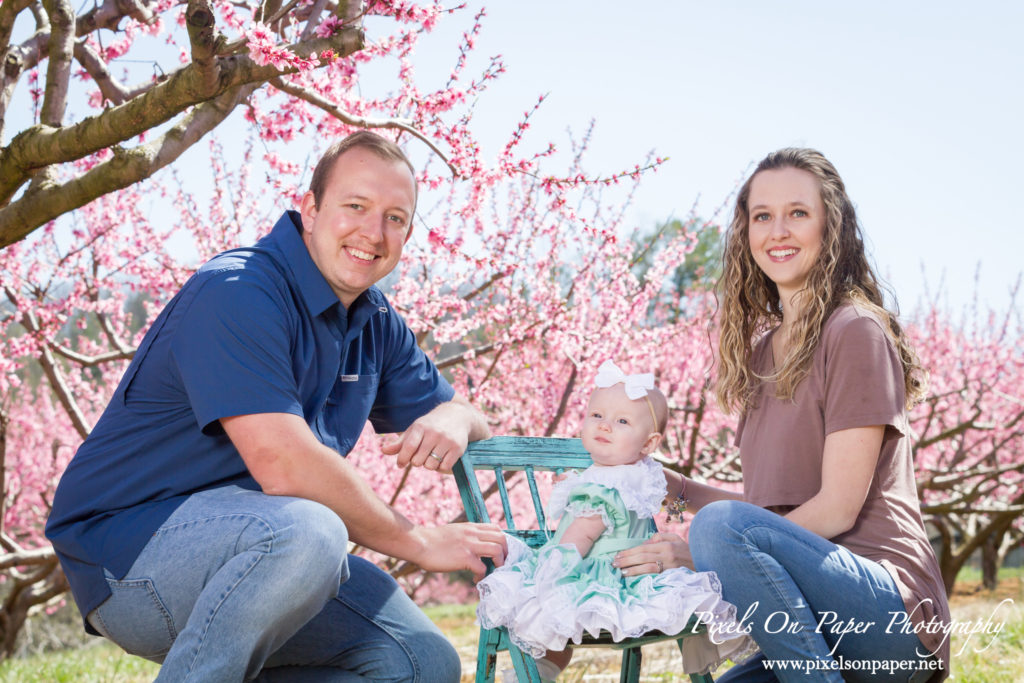 Triplett Family Six Month Baby outdoor peach orchard portrait photo