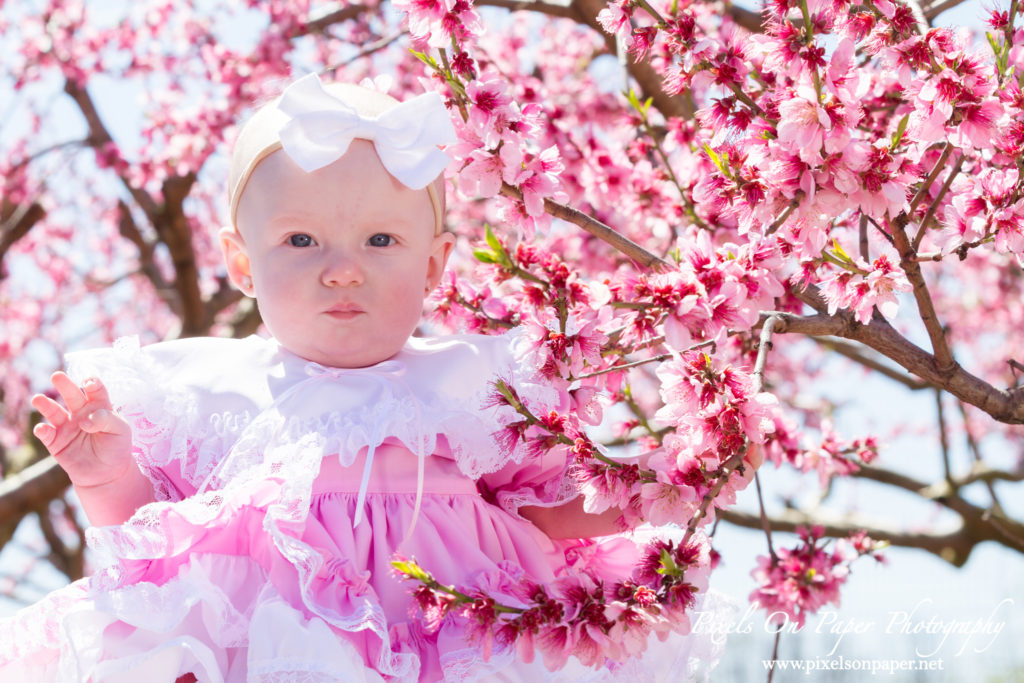 Triplett Family Six Month Baby outdoor peach orchard portrait photo