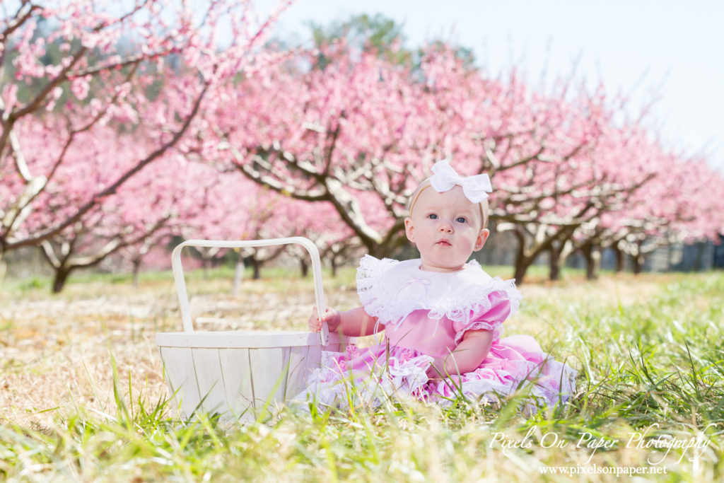 Triplett Family Six Month Baby outdoor peach orchard portrait photo