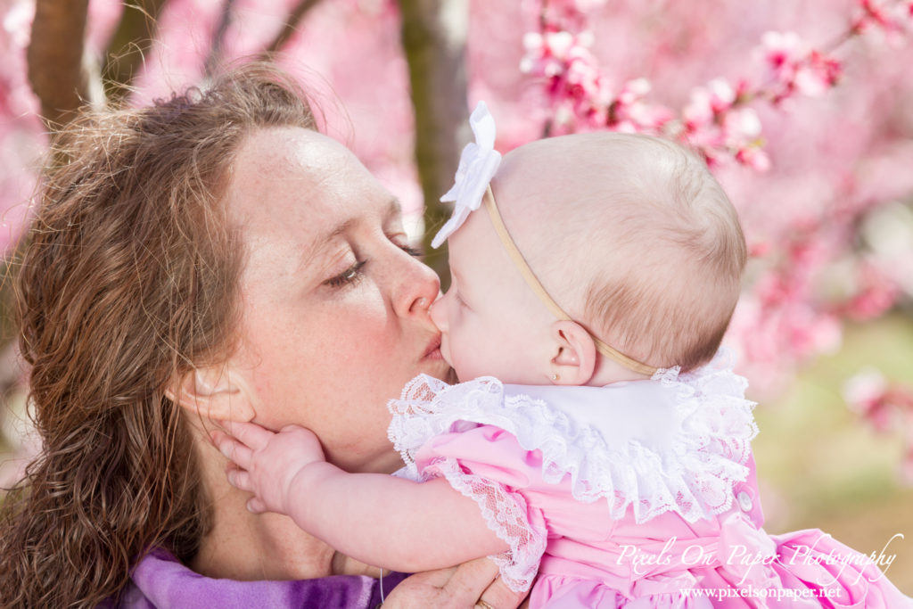 Triplett Family Six Month Baby outdoor peach orchard portrait photo