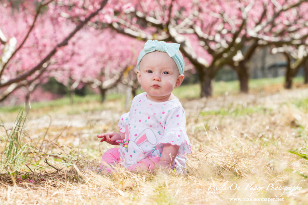 Triplett Family Six Month Baby outdoor peach orchard portrait photo