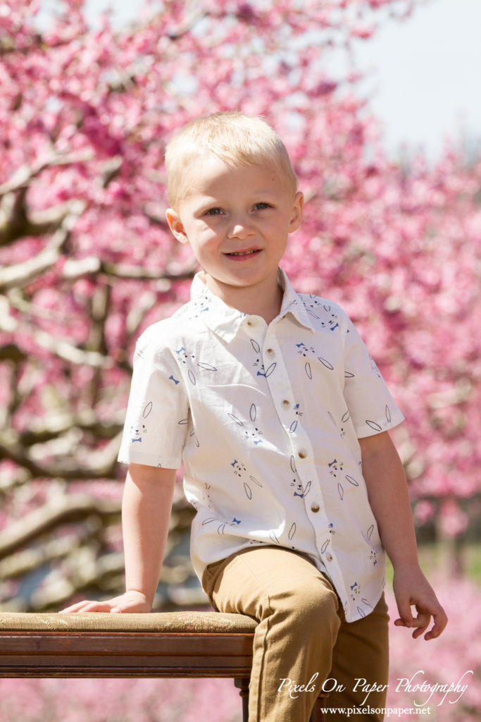 York Family Outdoor Spring Peach Orchard Portrait photo