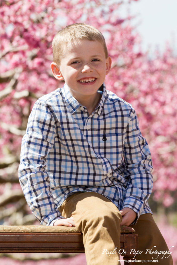 York Family Outdoor Spring Peach Orchard Portrait photo