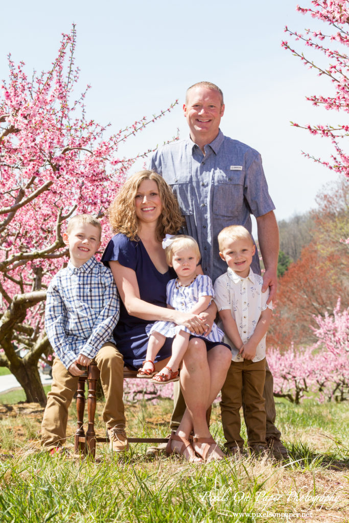 York Family Outdoor Spring Peach Orchard Portrait photo
