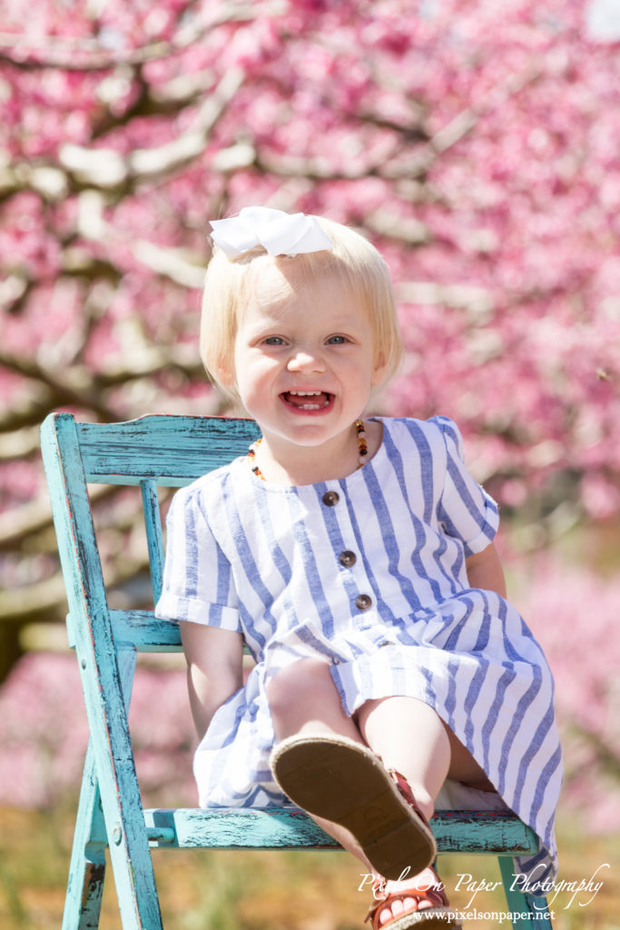 York Family Outdoor Spring Peach Orchard Portrait photo