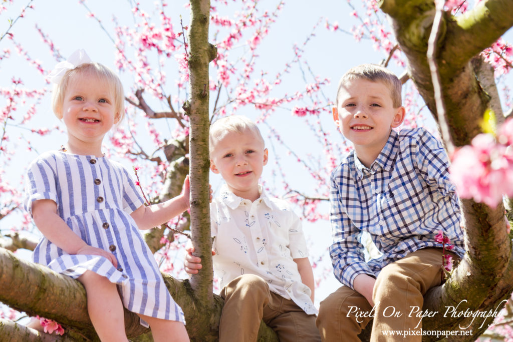 York Family Outdoor Spring Peach Orchard Portrait photo