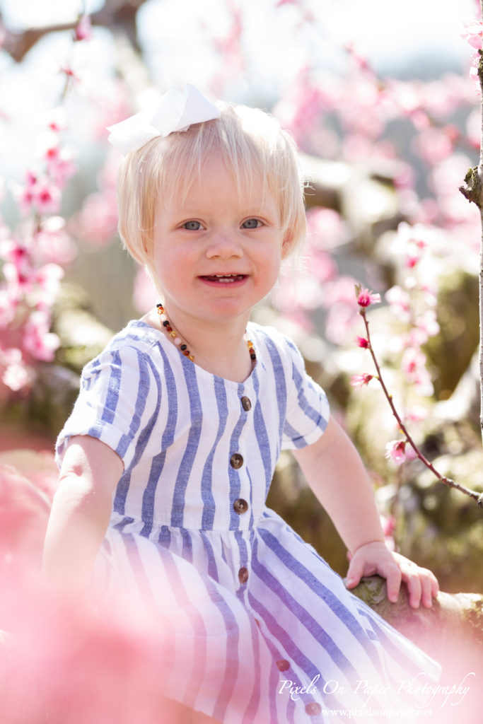 York Family Outdoor Spring Peach Orchard Portrait photo