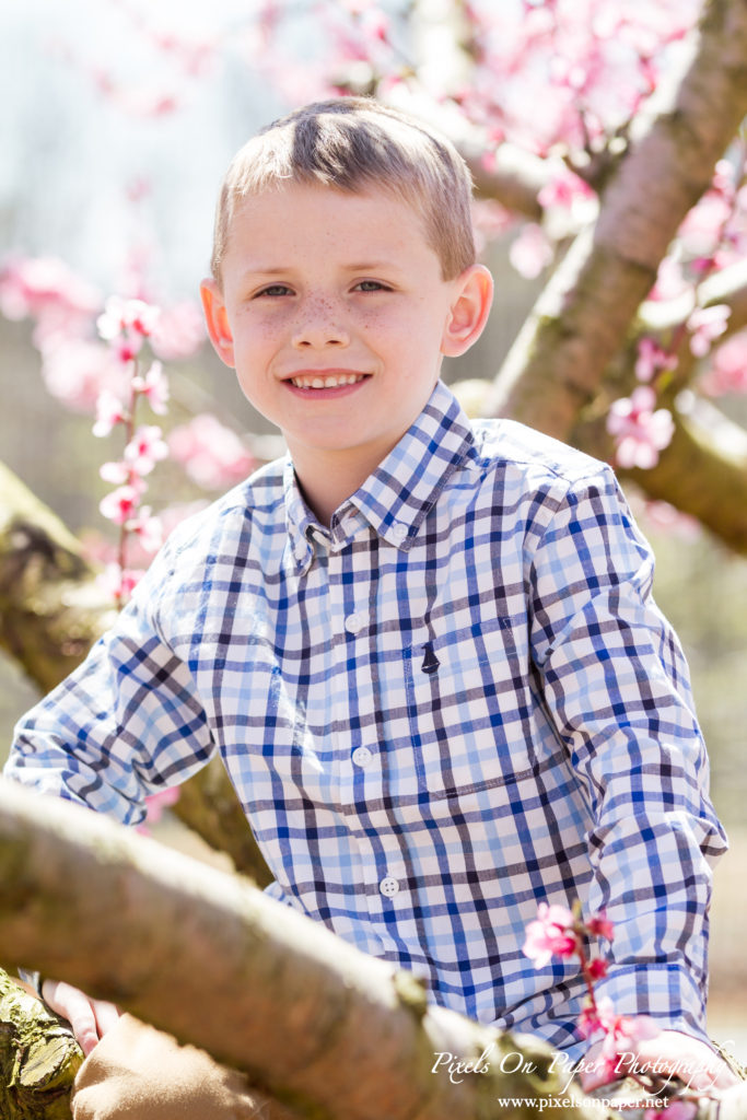 York Family Outdoor Spring Peach Orchard Portrait photo