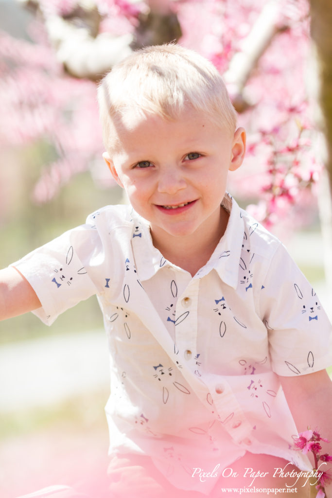 York Family Outdoor Spring Peach Orchard Portrait photo