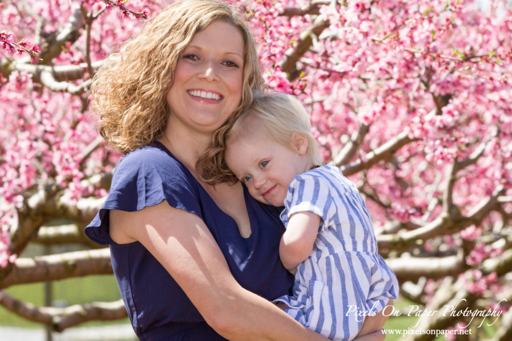 York Family Outdoor Spring Peach Orchard Portrait photo