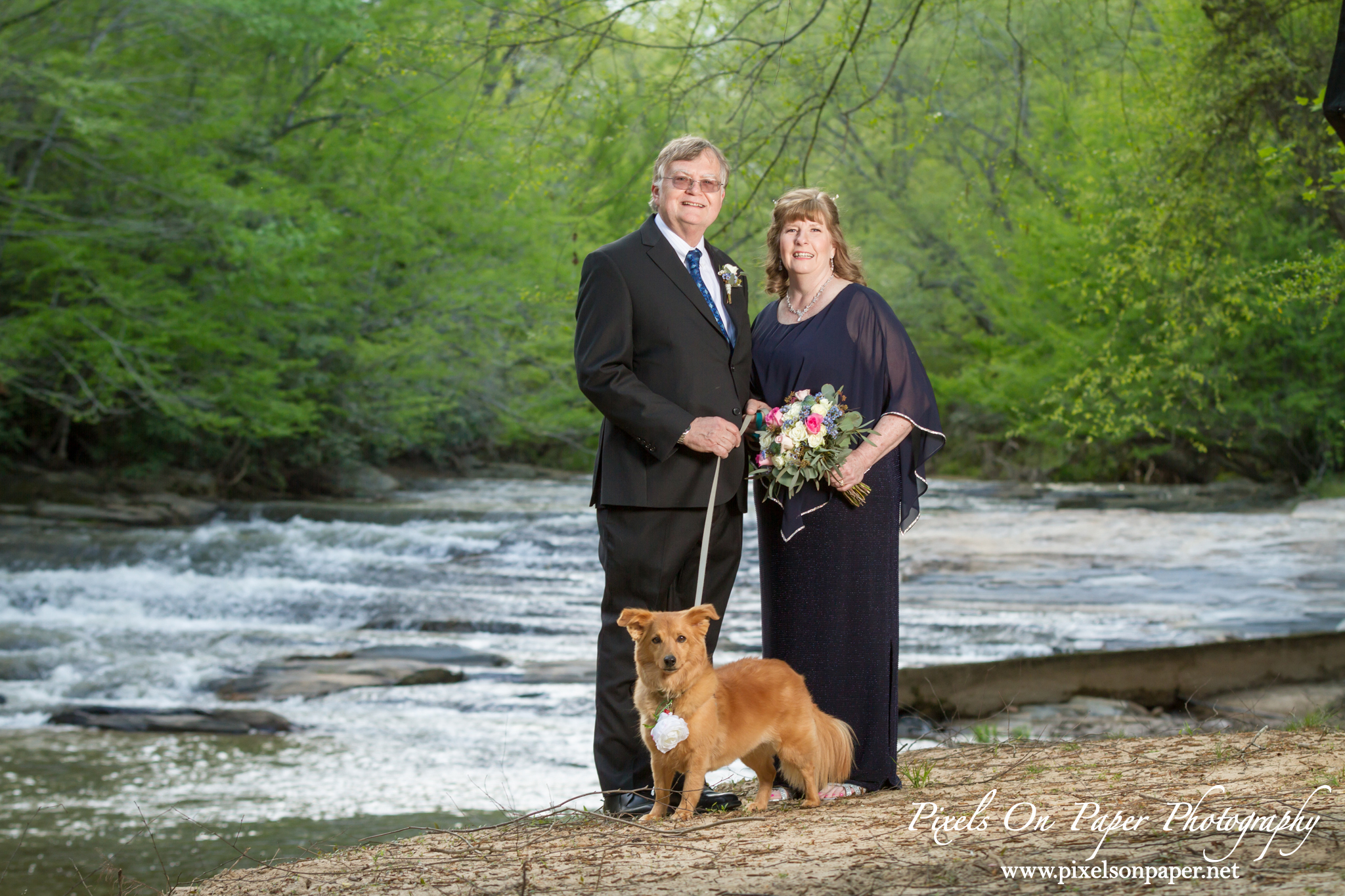 Noel / Morris Elkin Creek Vineyard Elopement Portrait photography by Wilkesboro NC Pixels On Paper Photographers Photo