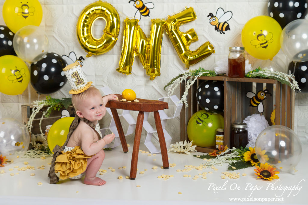 Pixels On Paper Photography Aryan One Year Cake Smash and Milk Bath Portrait Photo