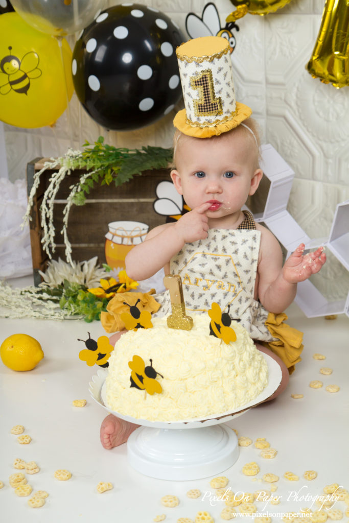 Pixels On Paper Photography Aryan One Year Cake Smash and Milk Bath Portrait Photo