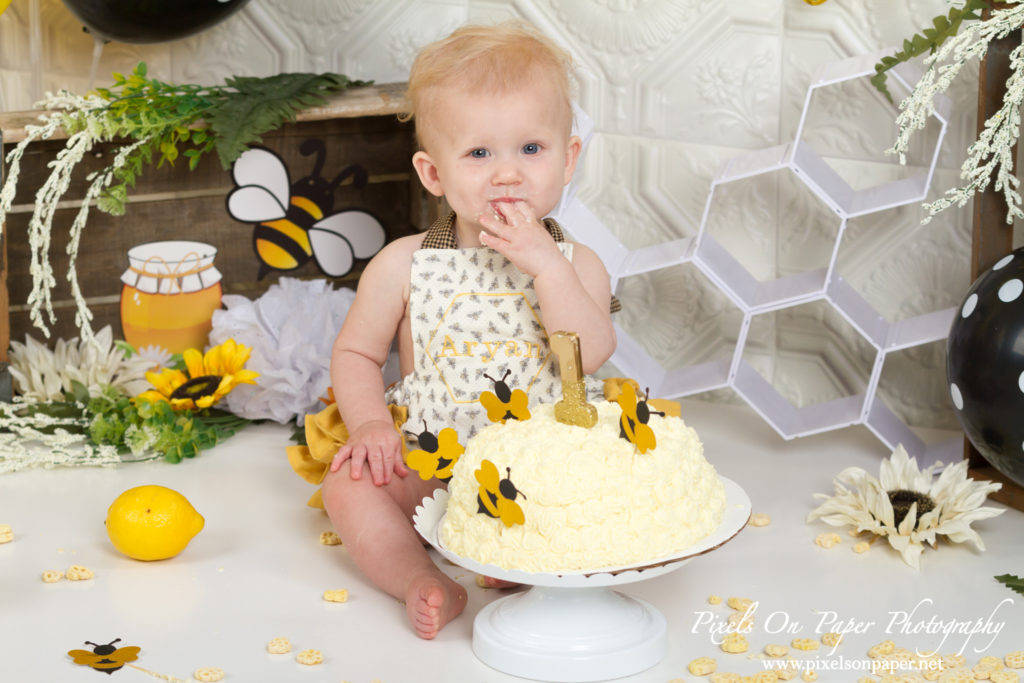 Pixels On Paper Photography Aryan One Year Cake Smash and Milk Bath Portrait Photo