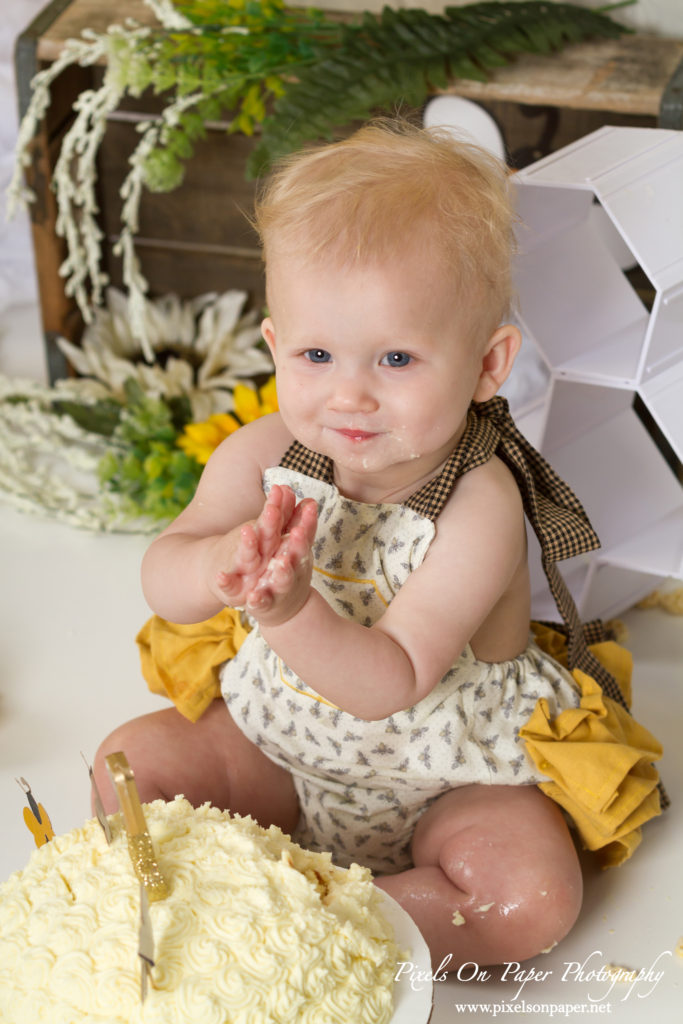 Pixels On Paper Photography Aryan One Year Cake Smash and Milk Bath Portrait Photo