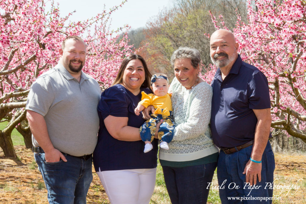 Bennett family and six month old baby girl outdoor peach orchard portrait photo