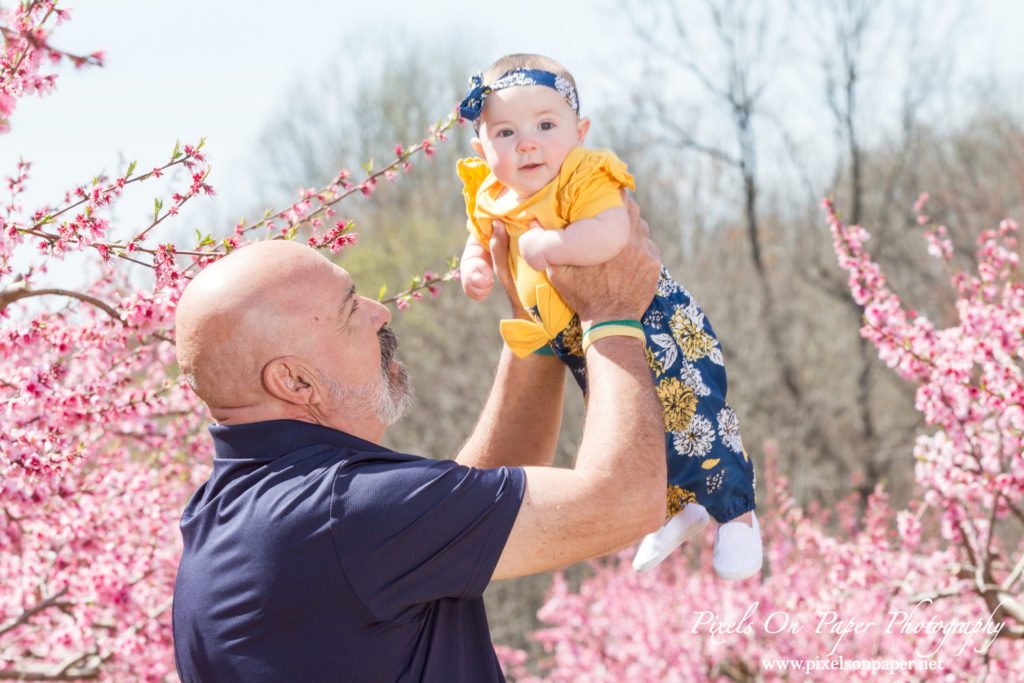 Bennett family and six month old baby girl outdoor peach orchard portrait photo