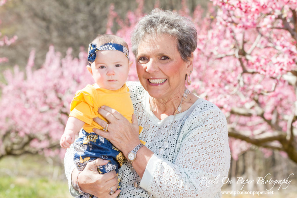 Bennett family and six month old baby girl outdoor peach orchard portrait photo