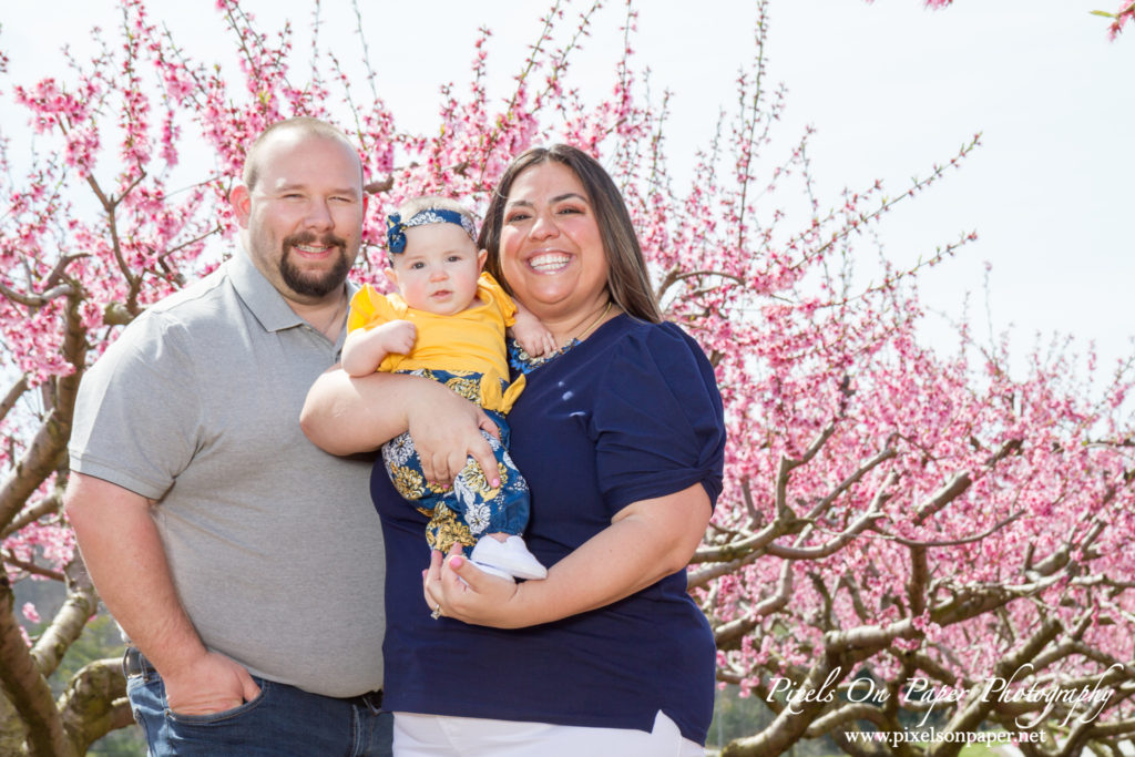 Bennett family and six month old baby girl outdoor peach orchard portrait photo