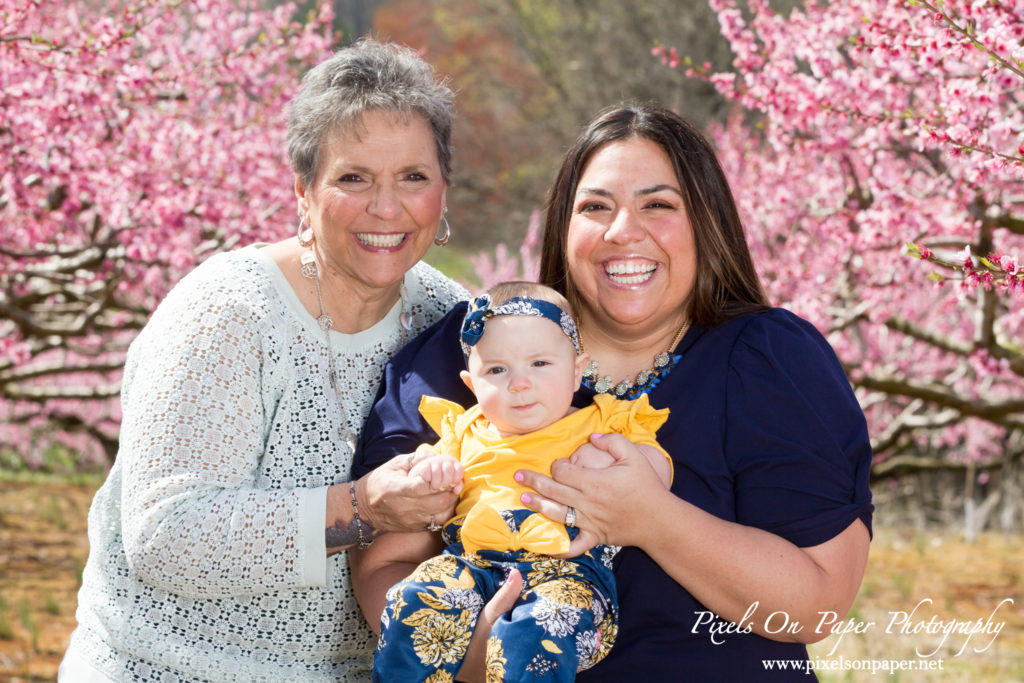 Bennett family and six month old baby girl outdoor peach orchard portrait photo