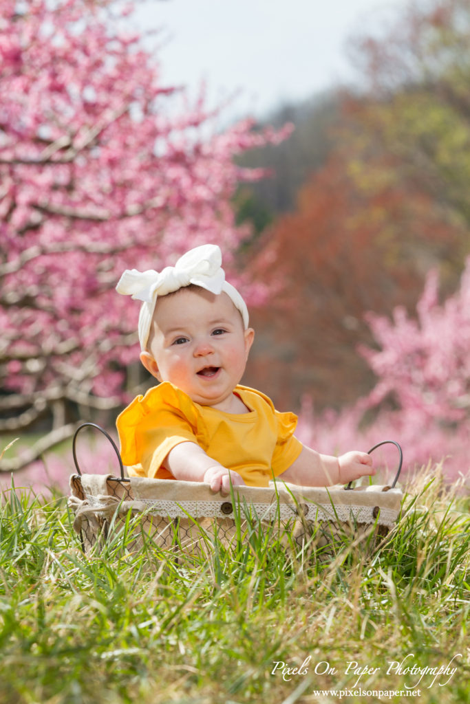 Bennett family and six month old baby girl outdoor peach orchard portrait photo