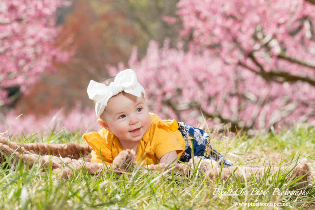 Bennett family and six month old baby girl outdoor peach orchard portrait photo