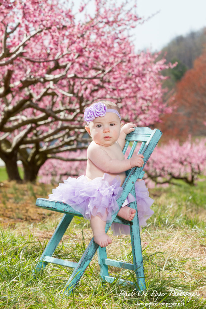 Bennett family and six month old baby girl outdoor peach orchard portrait photo