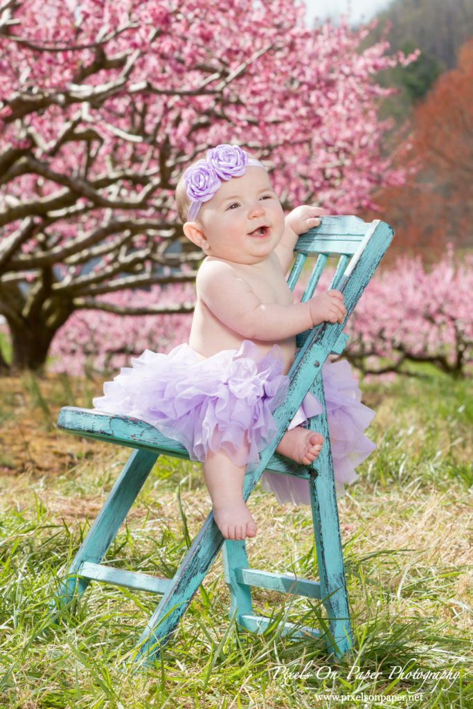 Bennett family and six month old baby girl outdoor peach orchard portrait photo