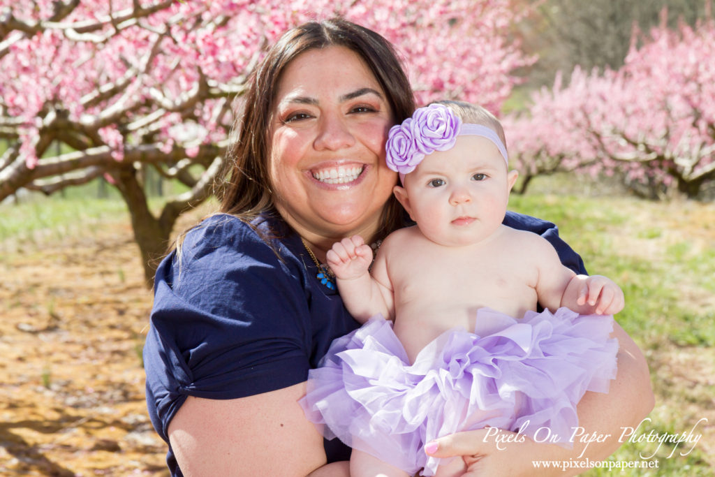 Bennett family and six month old baby girl outdoor peach orchard portrait photo