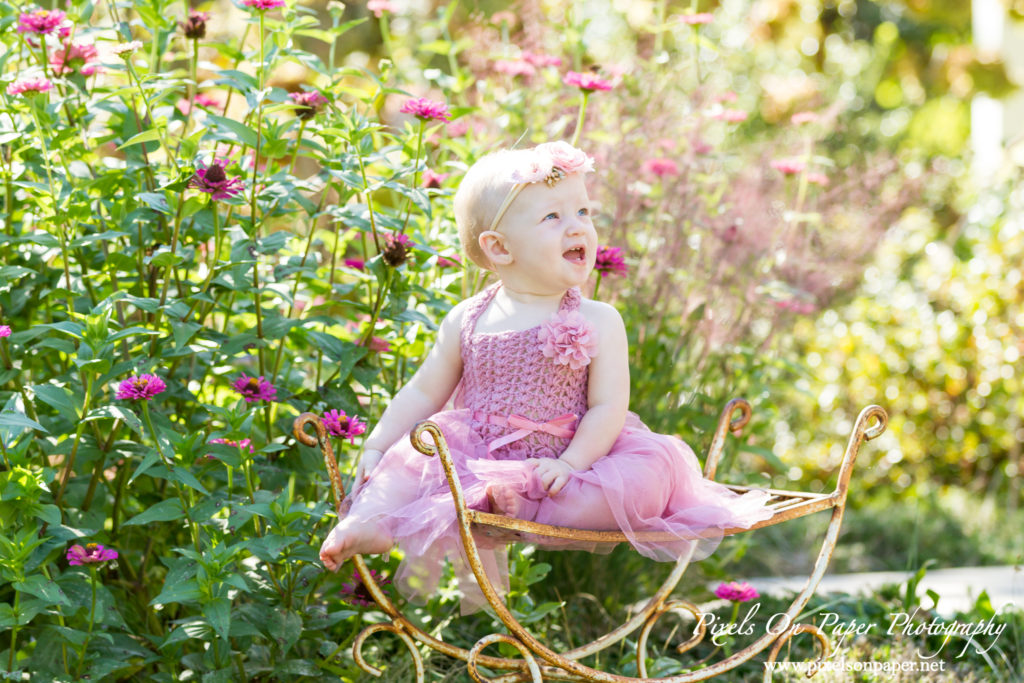 Triplett Family One Year outdoor portraits and studio cake smash photos by Pixels On Paper Wilkesboro NC photo