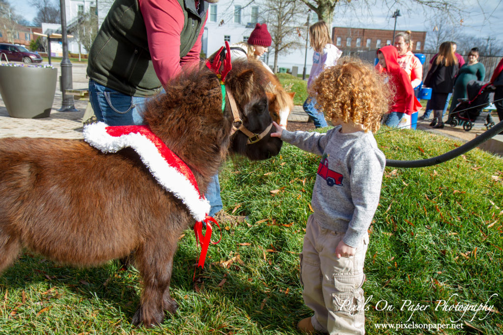 Wilkes Community Partnership for Children Christmas 2021 Event Photo