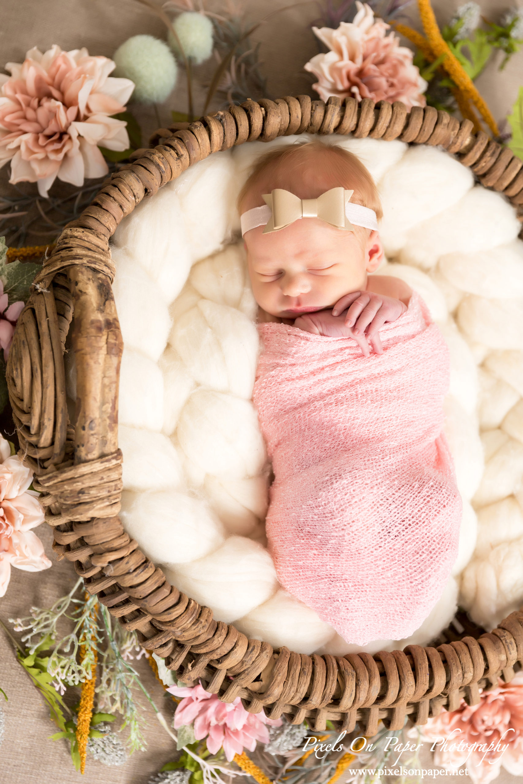 Pixels On Paper newborn photographers. Wilkesboro NC portrait studio baby photo