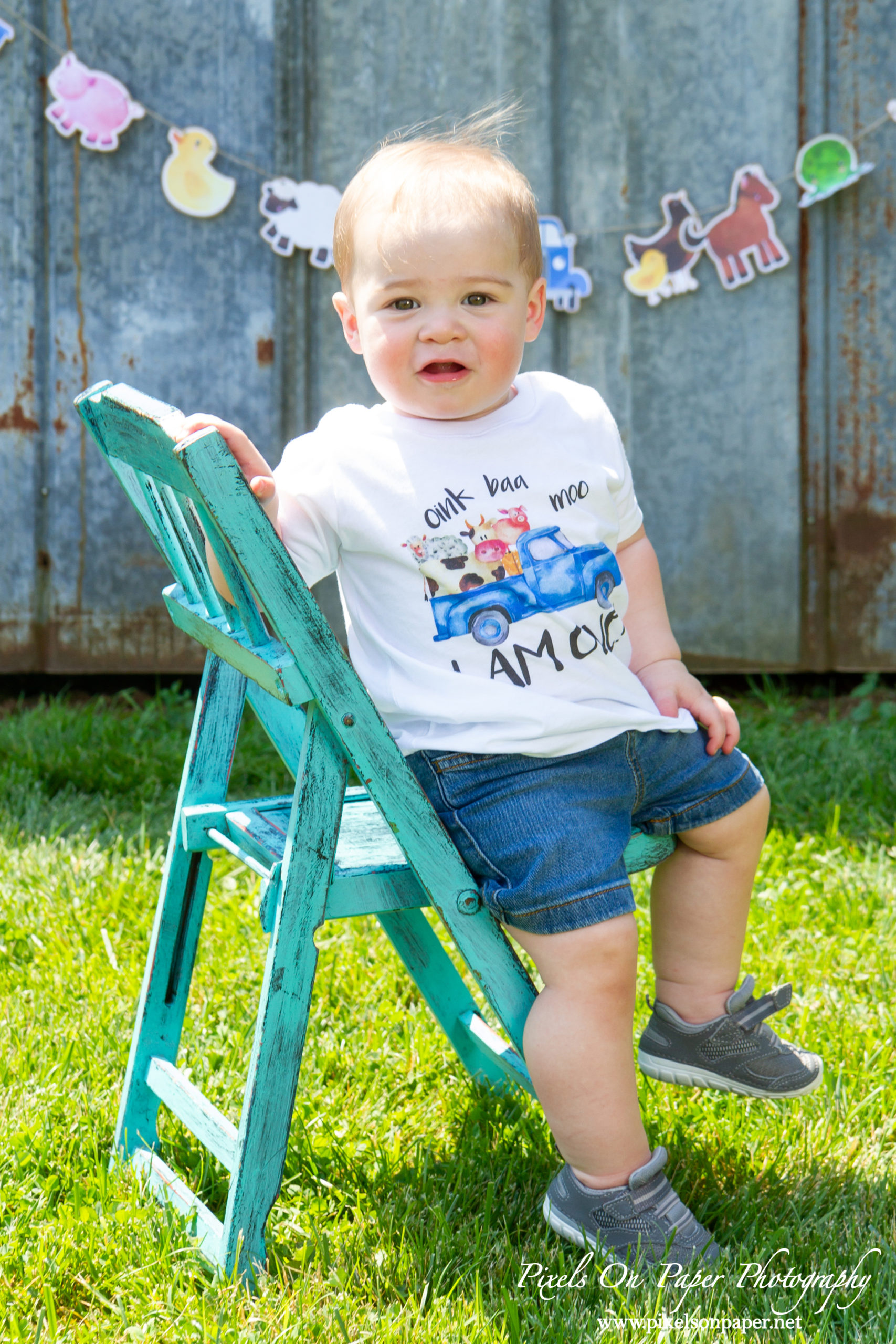 Pixels On Paper Wilkesboro NC Photographers Tibbett One Year Baby boy portrait photo