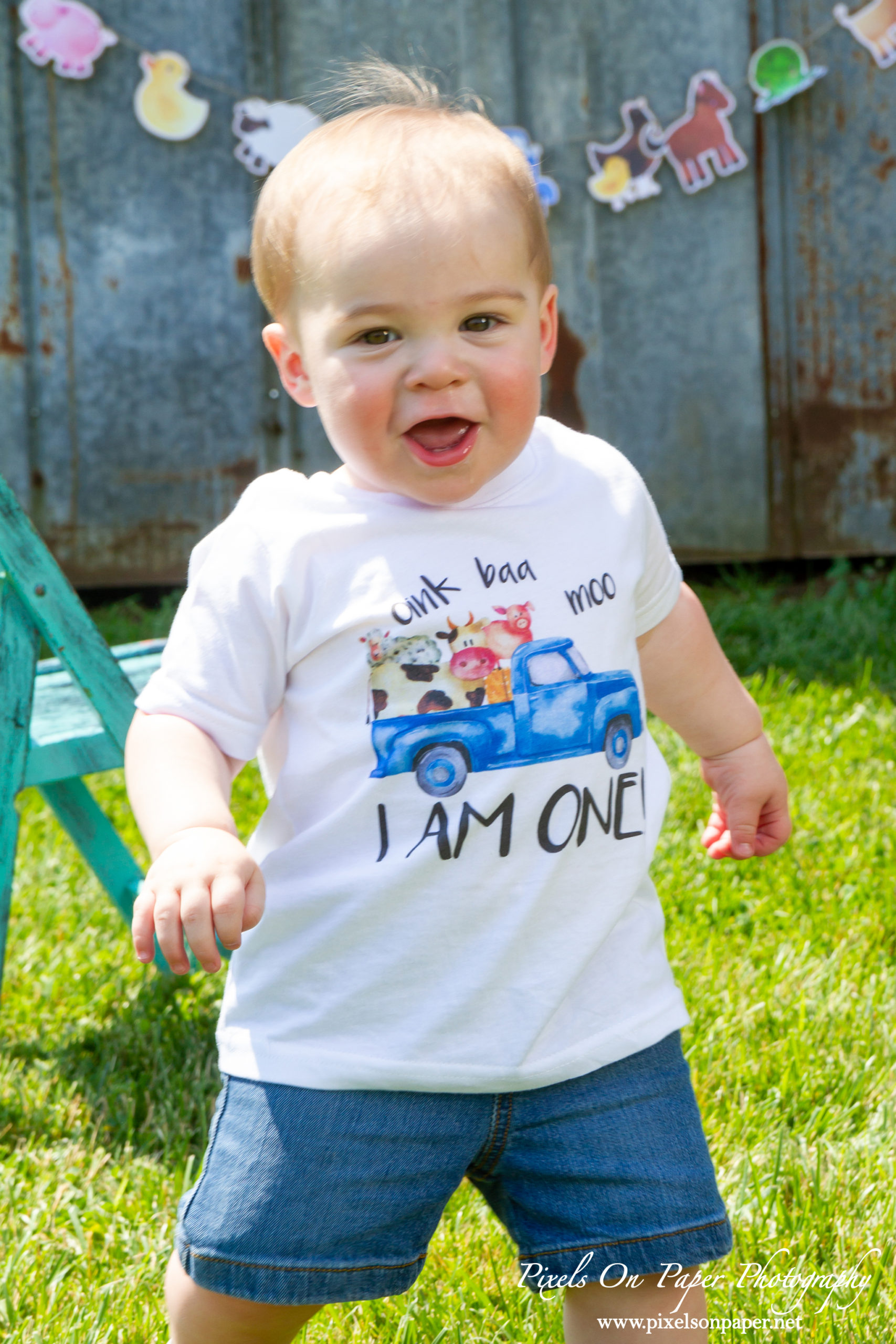 Pixels On Paper Wilkesboro NC Photographers Tibbett One Year Baby boy portrait photo