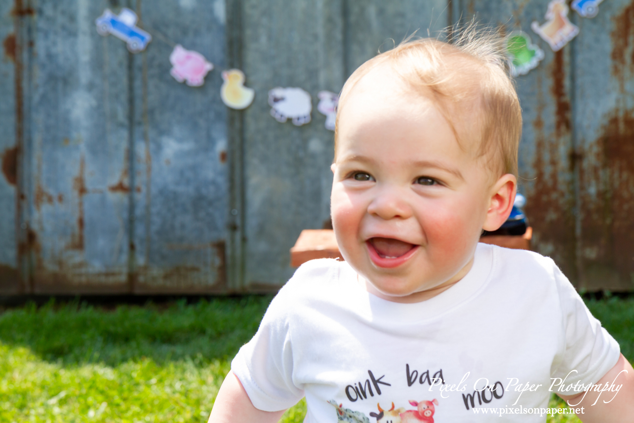 Pixels On Paper Wilkesboro NC Photographers Tibbett One Year Baby boy portrait photo