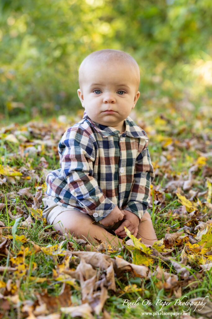 pixels on paper photography baby boy holten six months outdoor portrait photo