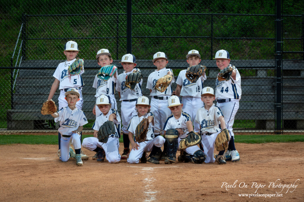 Youth baseball team NWNC Elite 8U standing in formation for team portrait