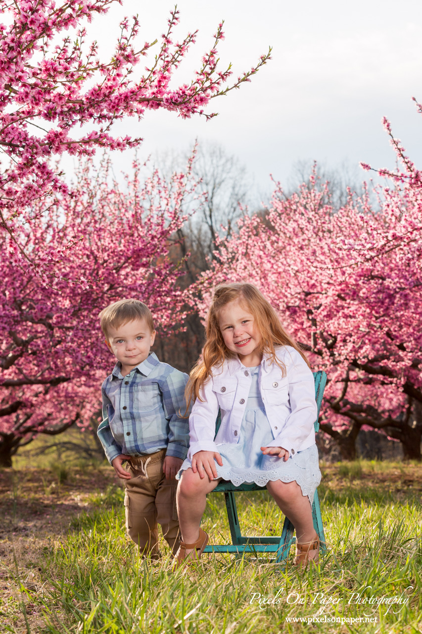 Brother and sister sitting together under a peach tree during a spring orchard photo shoot.
