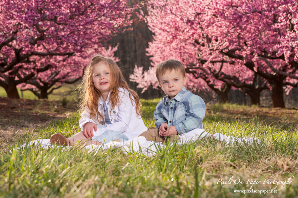 Brother and sister sitting together under a peach tree during a spring orchard photo shoot.