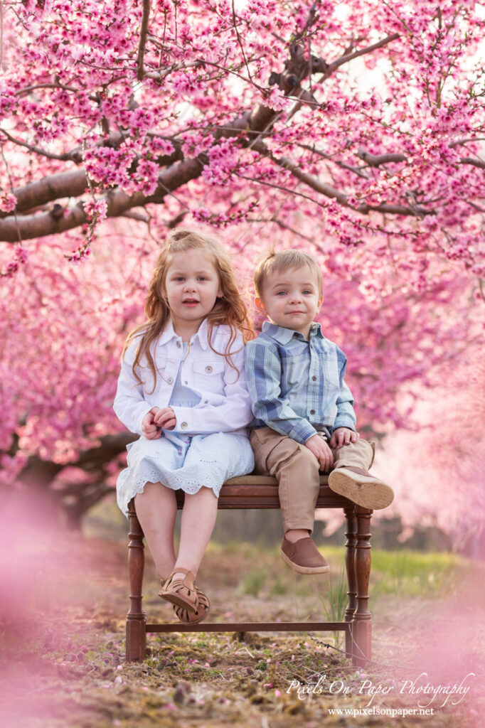 Brother and sister sitting together under a peach tree during a spring orchard photo shoot.