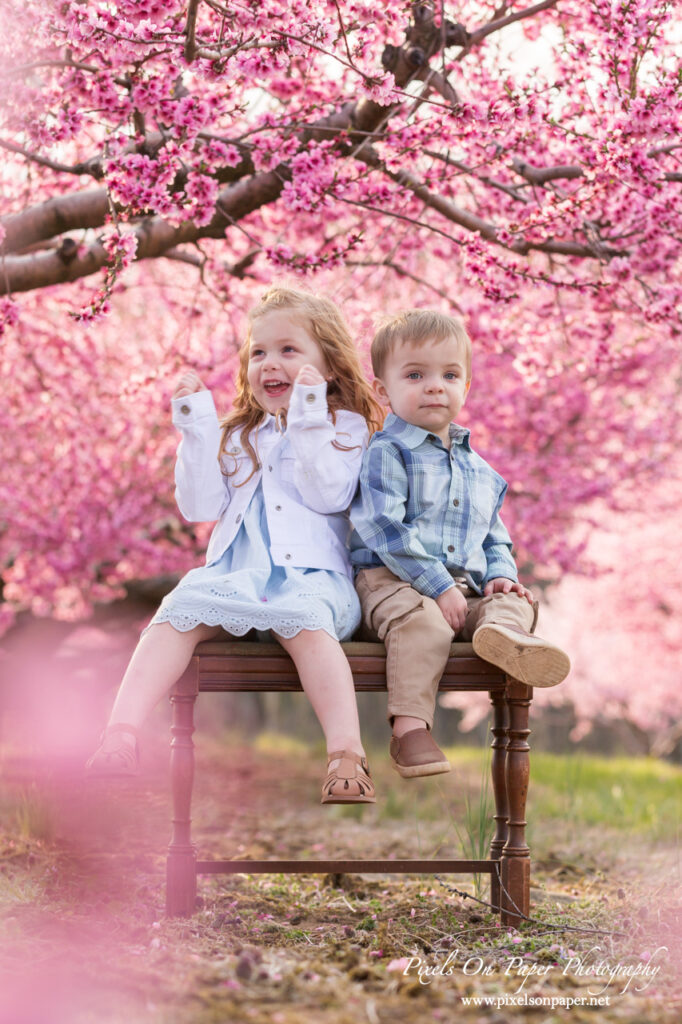 Brother and sister sitting together under a peach tree during a spring orchard photo shoot.