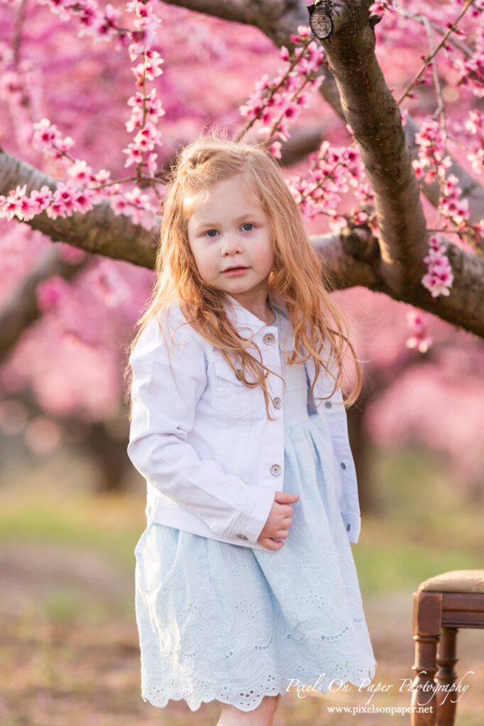 Little girl sitting beneath blooming peach trees during a spring photo session in Wilkesboro NC.
