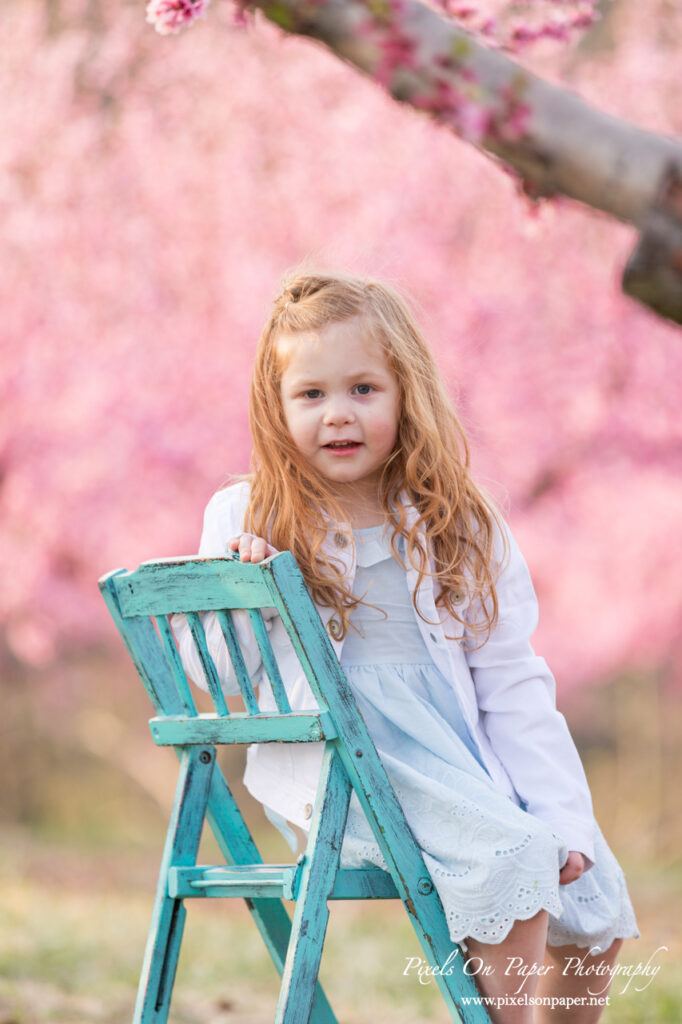 Little girl sitting beneath blooming peach trees during a spring photo session in Wilkesboro NC.