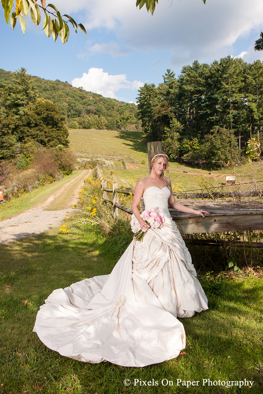 pixels on paper, asheville nc wedding, claxton farm, wedding photographer, destination wedding, nc mountain wedding photography, photo
