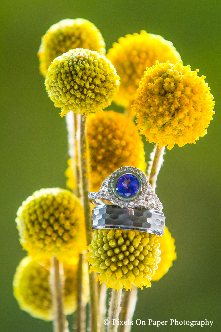 blowing rock photographer, blowing rock wedding photographer, boone nc wedding photography, nc mountain destination wedding, wedding photo